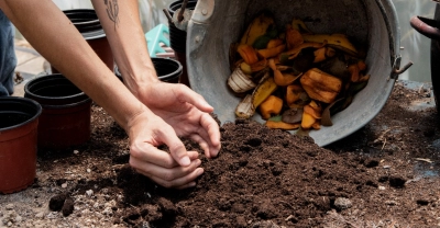 Técnico Auxiliar en Abonos Orgánicos y Bioinsumos para cultivos ecológicos + IA (Premium con Doble Certificación)