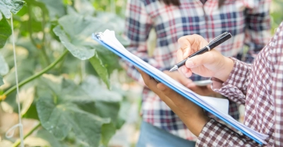 Diplomatura en Administración Agropecuaria + IA