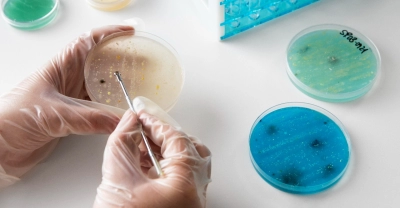 Técnico Auxiliar en Laboratorio de Anatomía Patológica + IA (Premium con Doble Certificación)