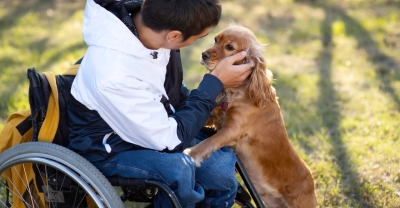 Curso de Intervención Terapéutica Asistida con Perros + ...