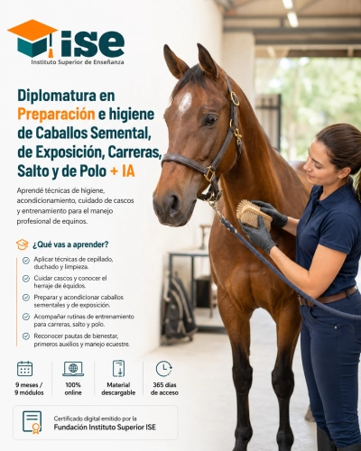 Diplomatura en Preparación e higiene de Caballos Semental, de Exposición, Carreras, Salto y de Polo + IA