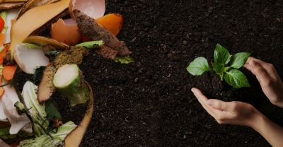 Curso de Abonos Orgánicos y Bioinsumos + IA
