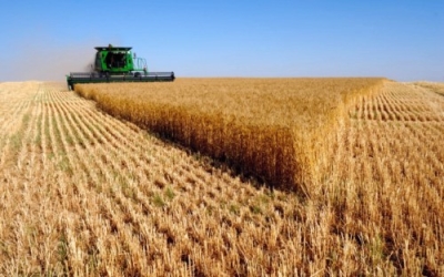 Diplomatura en Agronegocio + IA (Premium con Doble Certifi...