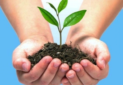 Diplomatura en Gestión, Protección y Conservación de Espacios Naturales + IA (Premium con Doble Certificación)
