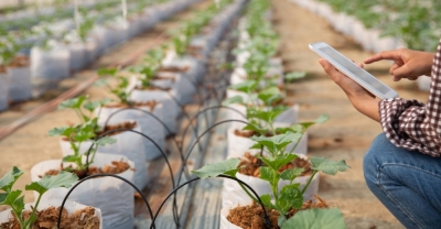 Especialista en Gestión y Cultivo en Invernaderos + IA (Premium con Doble Certificación)