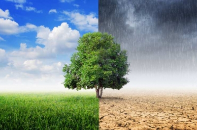 Capacitación en Cambio Climático