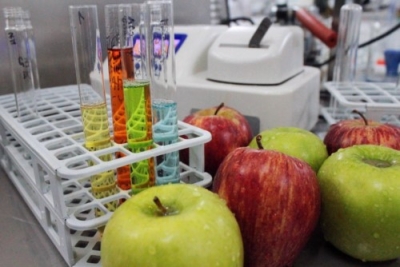 Diplomatura en Diseño Sanitario de Equipos para Procesamiento de Alimentos + IA (Premium con Doble Certificación)