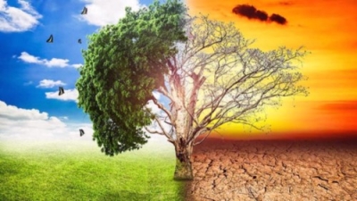 Diplomatura en Cambio Climático + IA (Premium con Doble C...