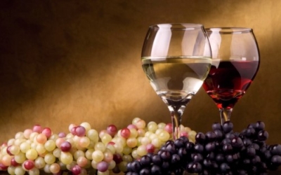 Diplomatura en Viticultura, Enología y Cata + IA