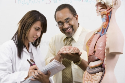Introducción a la carrera de Anatomía humana