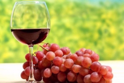 Elaboración de Vinos Artesanales + IA (Premium con Doble Certificación)