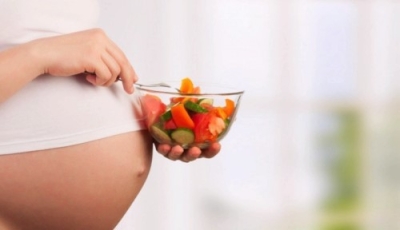 Alimentación durante el embarazo + IA (Premium con Doble Certificación)