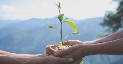 Diplomatura en Gestión, Manejo y Conservación de Biodiversidad + IA (Premium con Doble Certificación)