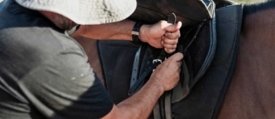 Técnico Auxiliar en Preparación e higiene de Caballos Semental, de Exposición, Carreras, Salto y de Polo + IA (Premium con Doble Certificación)