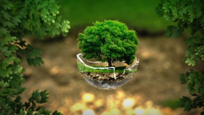 Técnico Auxiliar en Gestión Ambiental y Desarrollo Suste...